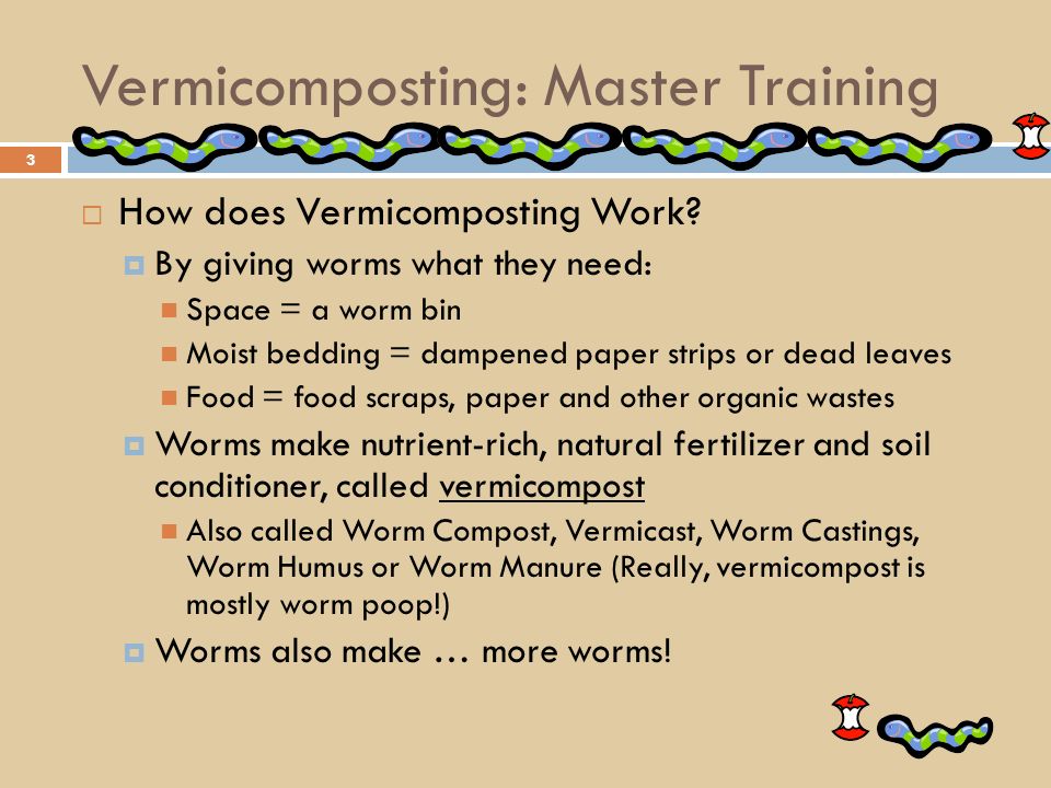 Thesis on vermicomposting